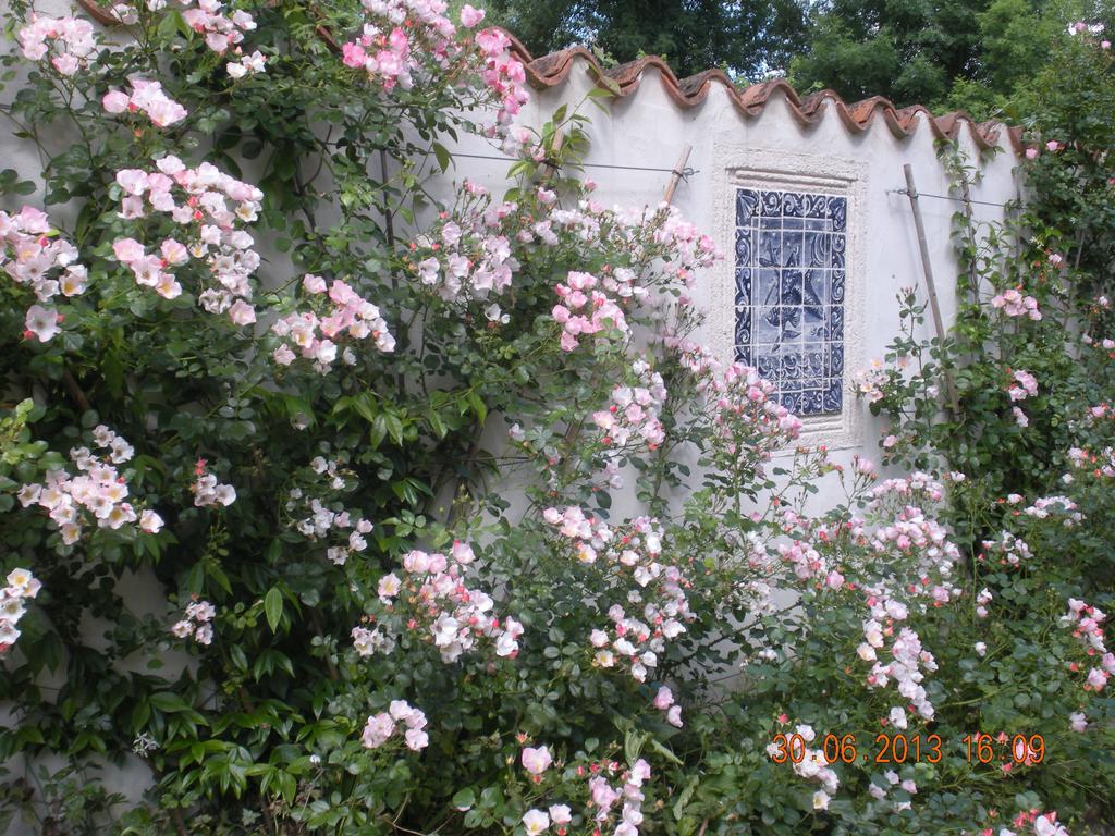 Moulin De Larcy Villa Riberac Luaran gambar